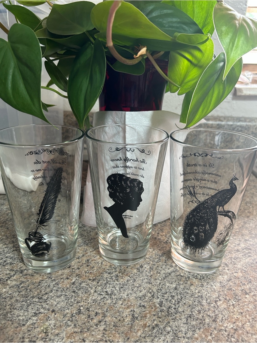 Pride & Prejudice Jane Austen Etched Drinking Glasses. Hand Curated & Repurposed